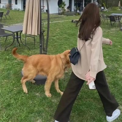 我们所知道的生活